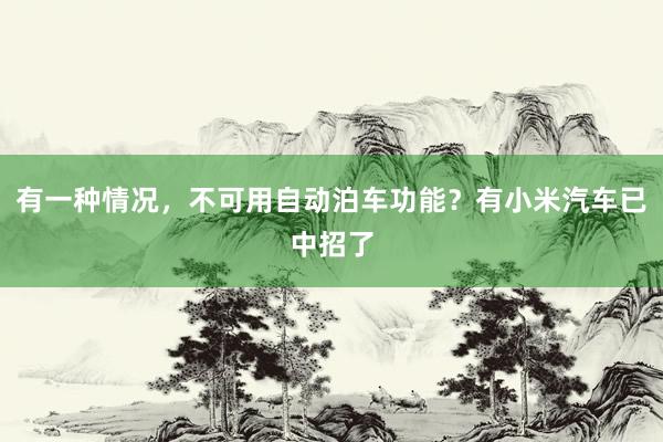有一种情况，不可用自动泊车功能？有小米汽车已中招了