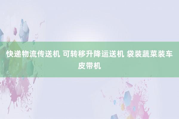 快递物流传送机 可转移升降运送机 袋装蔬菜装车皮带机