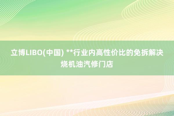 立博LIBO(中国) **行业内高性价比的免拆解决烧机油汽修门店