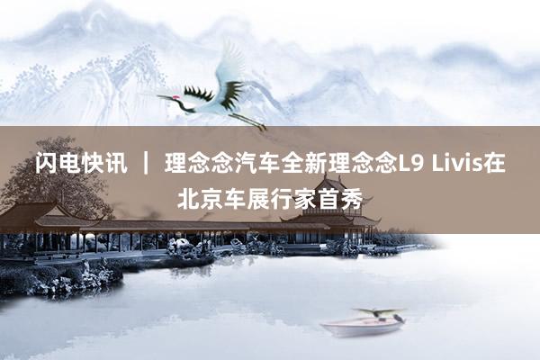 闪电快讯 ｜ 理念念汽车全新理念念L9 Livis在北京车展行家首秀