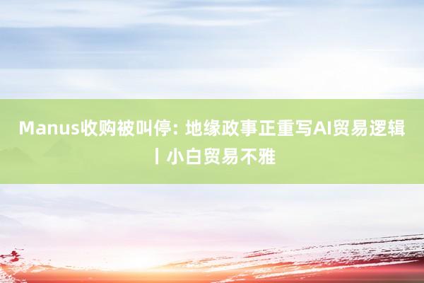 Manus收购被叫停: 地缘政事正重写AI贸易逻辑丨小白贸易不雅