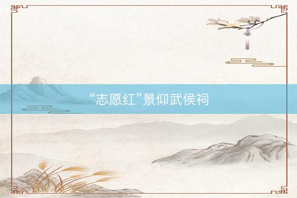“志愿红”景仰武侯祠