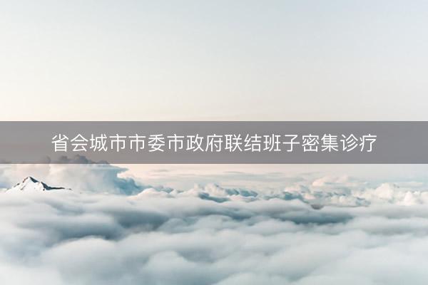 省会城市市委市政府联结班子密集诊疗
