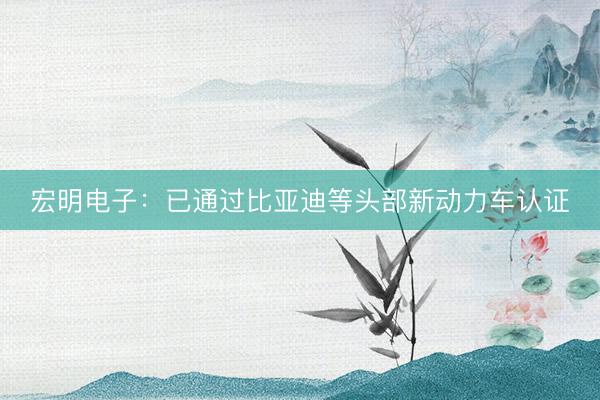 宏明电子：已通过比亚迪等头部新动力车认证